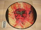 Dismember Picture LP - Indecent And Obscene /1993 German Nb 077-1 Press IN Mint