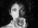 Kate Bush - Remastered in Vinyl II Vinyl 12