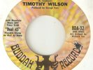 TIMOTHY WILSON Pigtails Say It Again BUDDAH NORTHERN SOUL USA 45