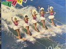 GO-GO's ?– Vacation ?– Vinyl LP 1982 Monarch Pressing EX Condition SP70031