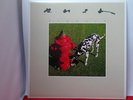 Rush:  Signals  A5/B2   1982  UK   NEAR MINT  LP