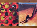DAVID BYRNE-BELEZA TROPICAL/REI MOMO, 1989,SHRINK, EX++