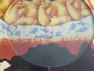 The Cure Limited Vinyl PICTURE DISC LP Japanese Whispers Robert Smith *NEW*