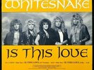 WHITESNAKE 'Is This Love' 1987 Near Mint Never played Promo 12