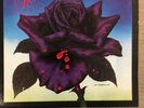 THIN LIZZY - BLACK ROSE VINYL RECORD WITH INLAY, UK FIRST ISSUE EX/EX CONDITION