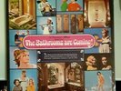 american standard THE BATHROOMS ARE COMING   an original musical  LP vinyl cult