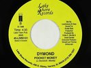 Funk Boogie 45 - Dymond - Pocket Money - Lake Shore - VG++ mp3