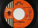 Northern Soul 45 - Billy Prophet - What Can I Do? - Sue - mp3 - rare styrene OG