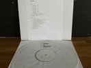 Prince Naked In The Summertime Vol 1 vinyl LP Testpressing LTD. 5 COPIES madonna