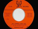 Northern Soul 45 - Perfections - Am I Gonna Lose You - SVR - VG++ mp3