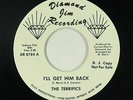 Northern Soul 45 - Terrifics - I'll Get Him Back - Diamond Jim - VG++ mp3 rare