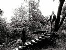 Timber Timbre - Timber Timbre (CLEAR) VINYL (11TH JUNE) PRESALE