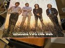 The Doors WAITING FOR THE SUN Analogue Productions 45rpm 200g Vinyl 2LP