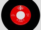 THE CASTELS-IGL RECORDS -1966-“HOW CAN YOU TELL”-MILFORD, IOWA-GARAGE