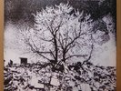 Bevis Frond: New River Head. '91 Woronzow: WOO 16. 2xLP with Insert