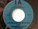 Thirteenth Floor Elevators Rare Psych 45 You're Gonna Miss Me/ Tried to Hide