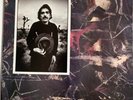 Captain Beefheart & The Magic Band Ice Cream For Crow LP 1982 ARE 38274 MINT pro