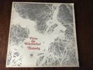 Strawbs  From The Witchwood   LP 1971   With Gatefold  Lyrics  Sleeve  A1 B1 EX