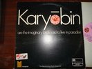 Rare Karyobin the spontaneous music ensemble Vinyl LP  Island ISLP 9079