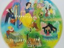 1980 Walt Disney's Snow White And The Seven Dwarfs Vinyl LP Picture Disc classic