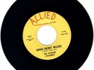 THE FLOWER CHILDREN – MINI SKIRT BLUES  (1968) GARAGE- POP -PSYCH (HEAR) 45