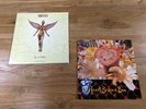 Nirvana - In Utero 1993 Clear Vinyl LP - Heart-Shaped Box single - Never Played