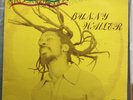 Bunny Wailer - Rock And Groove  Vinyl LP Solomonic Super Rare VG+/Ex