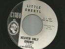 DOOWOP R&B - LITTLE CHERYL & GROUP - HEAVEN ONLY KNOWS  - HEAR 1963 PROMO CAMEO