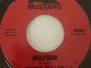 Rockabilly Garage 45/ Randy Fuller 