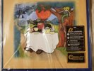 Cat Stevens Tea for the Tillerman vinyl 45rpm Analogue Productions