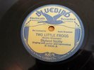 78 SKYLAND SCOTTY Bluebird 5906 TWO LITTLE FROGS 1934 Country VG++