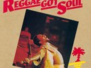 TOOTS & THE MAYTALS - REGGAE GOT SOUL -HQ- NEW VINYL