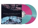 Between the Buried and Me 
