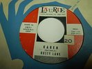 Rare Teen doo-wop 45 Rusty Lane Karen / Comes the day Laurie 3031