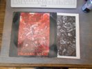 Kreator ** Pleasure To Kill ** LP ** Trash Metal ** RAR **