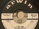 Rare Rock Doo-Wop Promo 45/ Jan & Arnie 