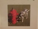 Rush Signals 6337 243 Vinyl LP  UK with Inner Lyric Sleeve