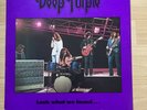 Deep Purple: Look what we found…. Unofficial live vinyl album