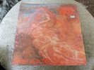 MORBID ANGEL - 