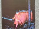 Black Sabbath Paranoid vinyl album Vertigo records gatefold sleev