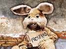 Peter And The Test Tube Babies - Fuctifano