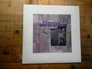 Throwing Muses University A1/B1 1st Press Very Good Vinyl Record Album CAD 5002