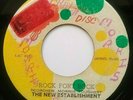 New Establishment - Rock Fort Rock God I Vers Keith Wilson Reggae Dub Iron Side