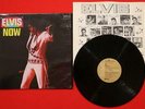Elvis 