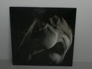 Brother Dege How To Kill A Horse Clear Vinyl LP NEW SEALED