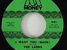 Larks 