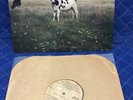PINK FLOYD / SCREAMING ABDABS - DARK SIDE OF THE MOO LP 1st US Press
