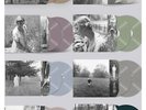 Taylor Swift Folklore Complete Set of 8 Limited Edition Vinyl + Cardigan Gold