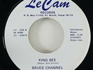 Bruce Channel 