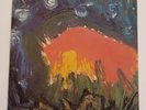 Meat Puppets 2nd LP - 